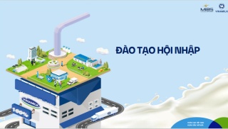 Bài kiểm tra - Đào tạo định hướng